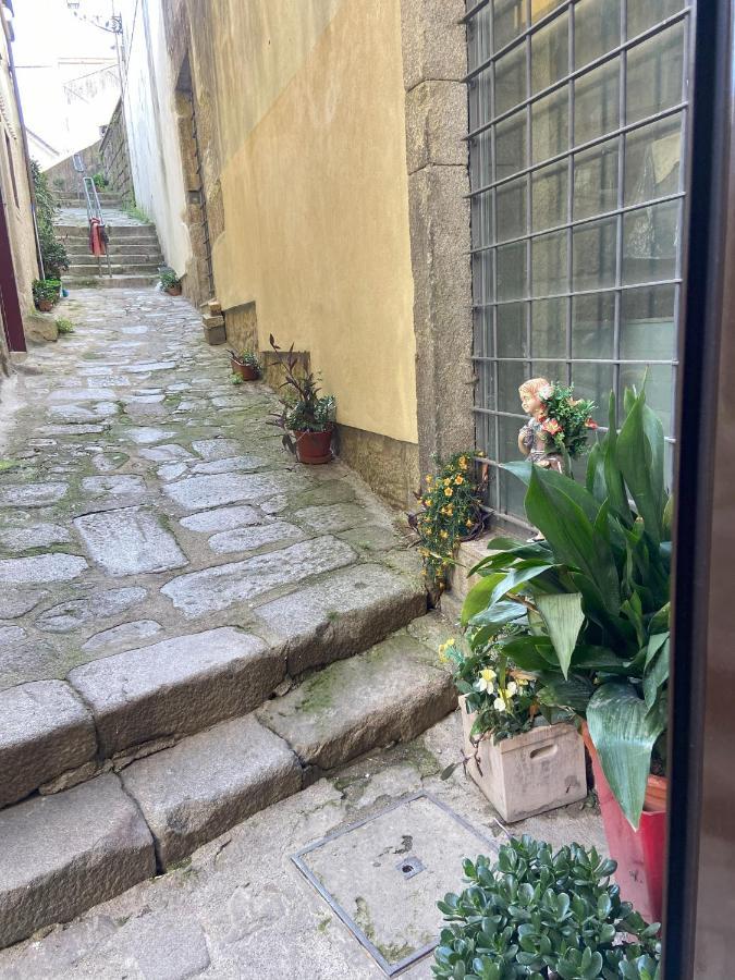 Ribeira Art Terrace Apartment Porto Ngoại thất bức ảnh
